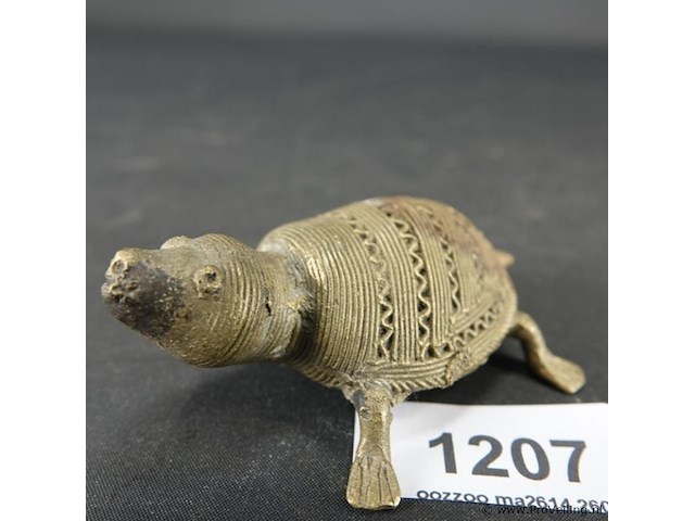 Dohkra schildpad - afbeelding 1 van  5