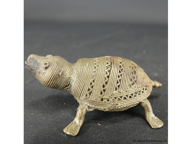 Dohkra schildpad - afbeelding 2 van  5