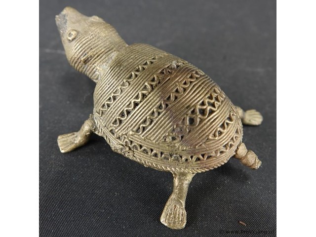 Dohkra schildpad - afbeelding 3 van  5