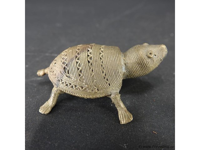 Dohkra schildpad - afbeelding 4 van  5