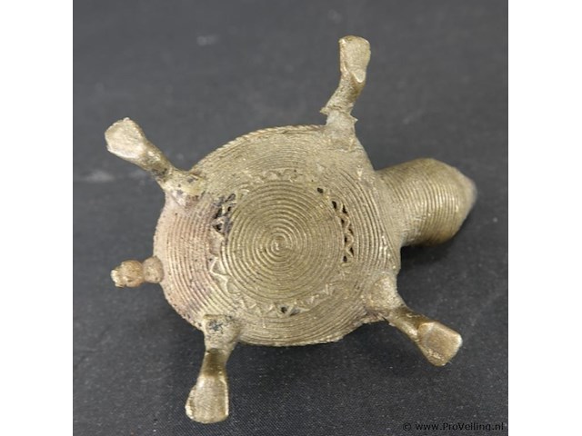 Dohkra schildpad - afbeelding 5 van  5