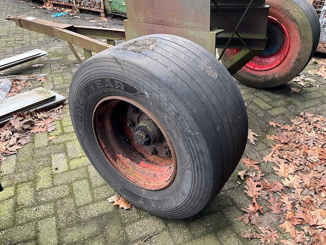 Dolly - afbeelding 6 van  6