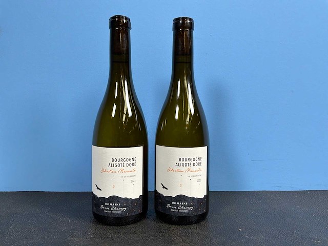 Domaine boris champy selectione massale 2023 witte wijn (6x) - afbeelding 1 van  3