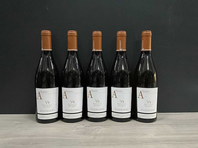 Domaine jean rijckaert arbois savagnin 2020 (5x) - afbeelding 1 van  2