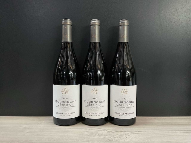 Domaine michelot 'bourgogne cote d'or' 2021 (3x) - afbeelding 1 van  3