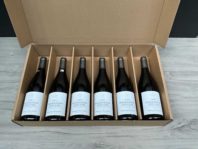 Domaine michelot bourgogne cote d'or 2022 (6x) - afbeelding 1 van  4