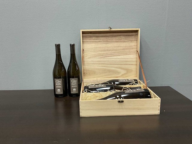 Domaine ogereau grand beaupreau savennieres 2020 (5x) - afbeelding 1 van  4