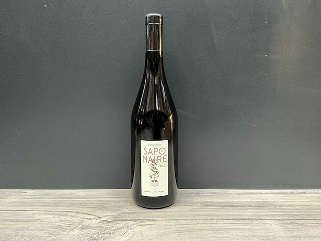 Domaine ogereau la saponaire savennieres 2021 (6x) - afbeelding 2 van  4