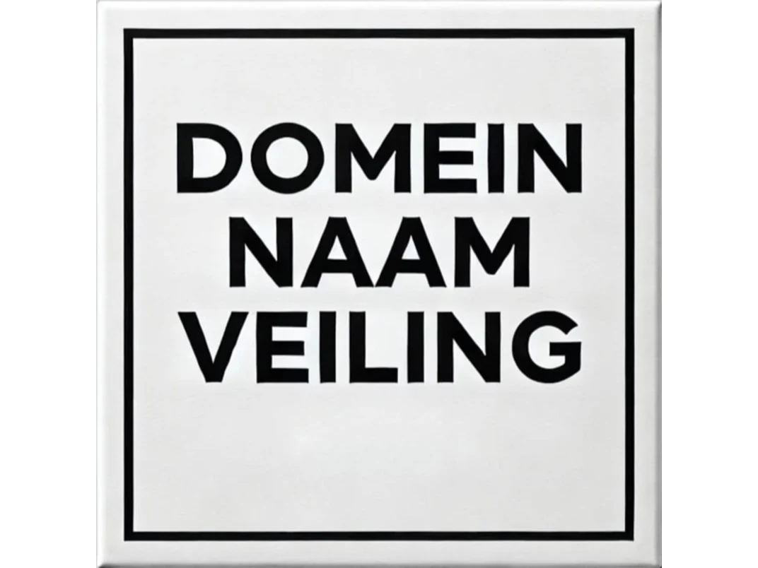 Domeinnaamveiling