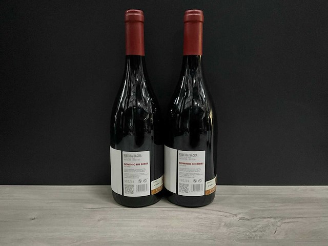 Dominio bibei b 2017 (2x) - afbeelding 2 van  3