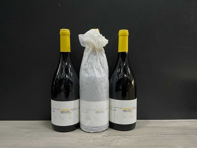 Domino bibei lapola 2019 (3x) - afbeelding 1 van  3