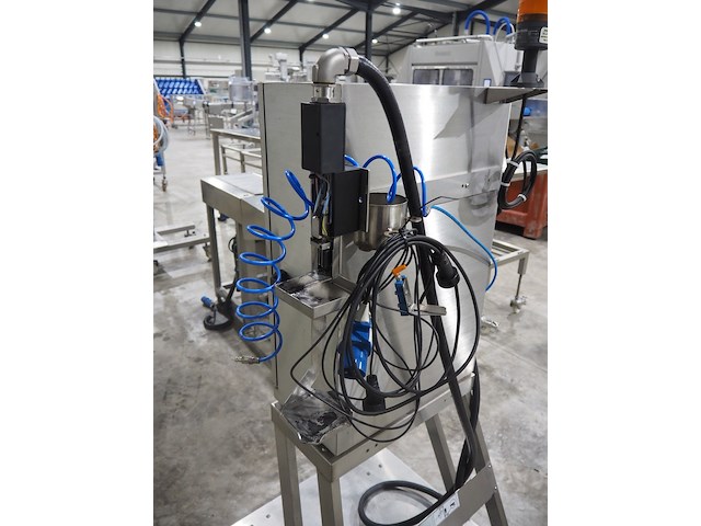 Domino - afbeelding 6 van  6