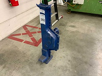 Dommekracht, kelderwind - afbeelding 1 van  8