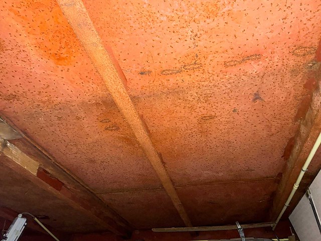 Domus di aqua - voormalig restaurantschip ''north palace'' - afbeelding 126 van  159