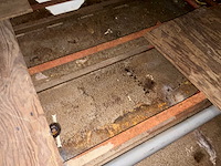 Domus di aqua - voormalig restaurantschip ''north palace'' - afbeelding 130 van  159