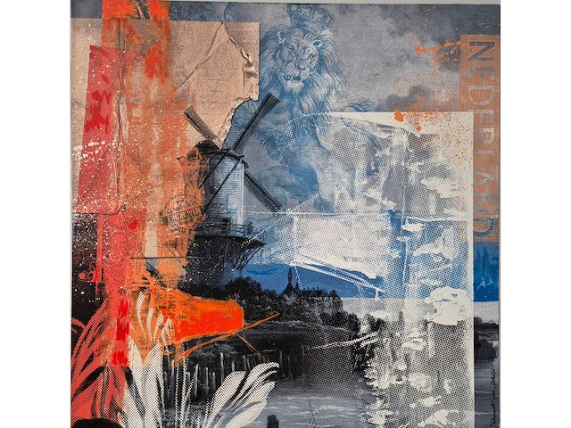 Donald van schilt - afbeelding 2 van  4