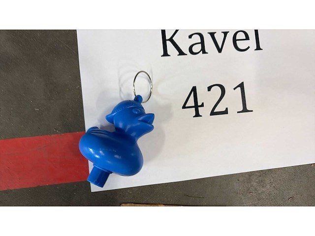 Doos blauwe eendjes - afbeelding 2 van  3