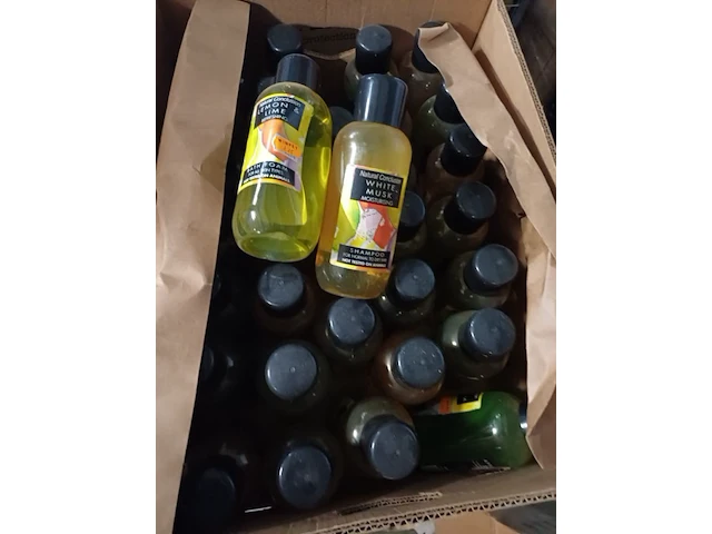 Doos met shampoo ruim 30 stuks - afbeelding 3 van  3