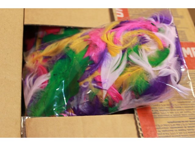 Doos met veertjes 50x100 sets - afbeelding 1 van  3