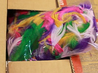 Doos met veertjes 50x100 sets - afbeelding 1 van  3