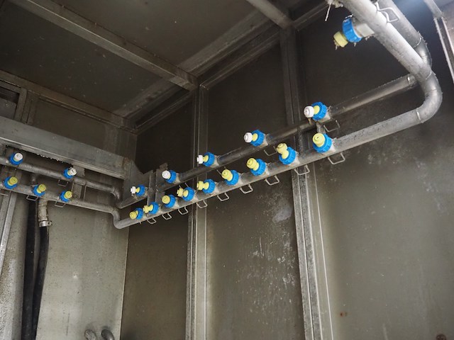 Dorit - afbeelding 12 van  14