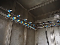 Dorit - afbeelding 13 van  14