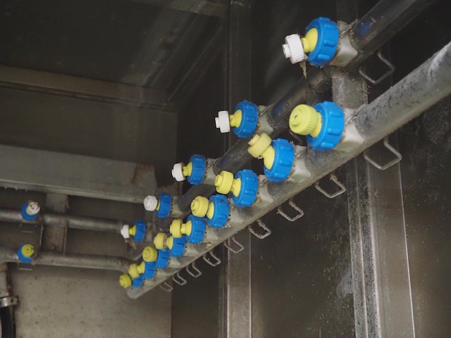 Dorit - afbeelding 9 van  12