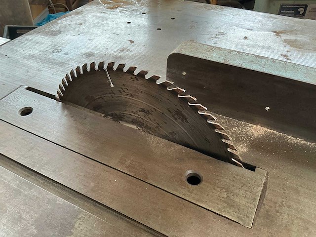 Dornburg zaagtafel - afbeelding 3 van  5
