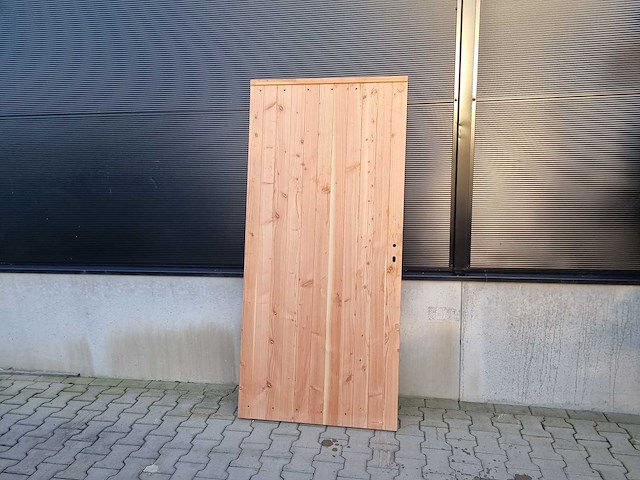 Douglas - dichte inbouwdeur - afbeelding 1 van  1