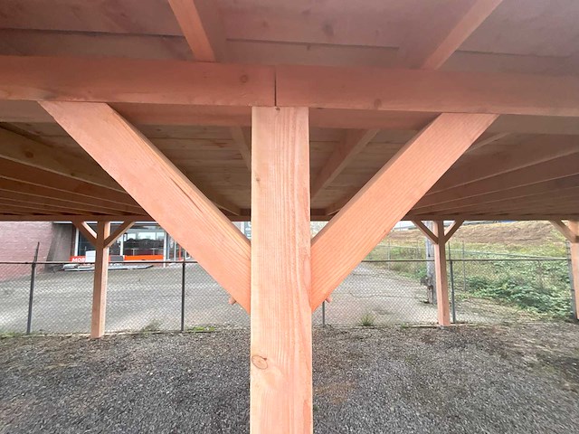 Douglas buitenverblijf - 1800x500x257 cm - afbeelding 2 van  7