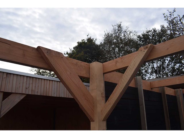 Douglas carport frame met berging - 720x510x235 cm - afbeelding 3 van  12