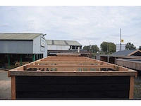 Douglas carport frame met berging - 720x510x235 cm - afbeelding 11 van  12