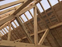 Douglas chalet 5,20x8 - afbeelding 2 van  15