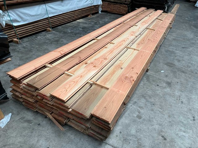 Douglas channelsliding - 500 cm (60x) - afbeelding 2 van  5