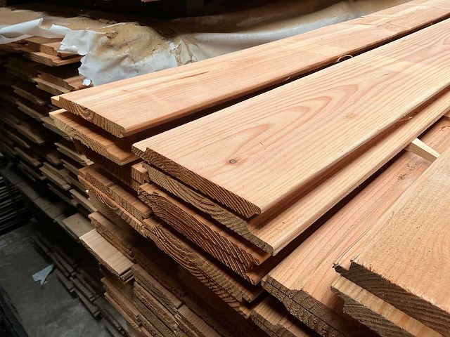 Douglas channelsliding 18x190 - 500 cm (26x) - afbeelding 1 van  4