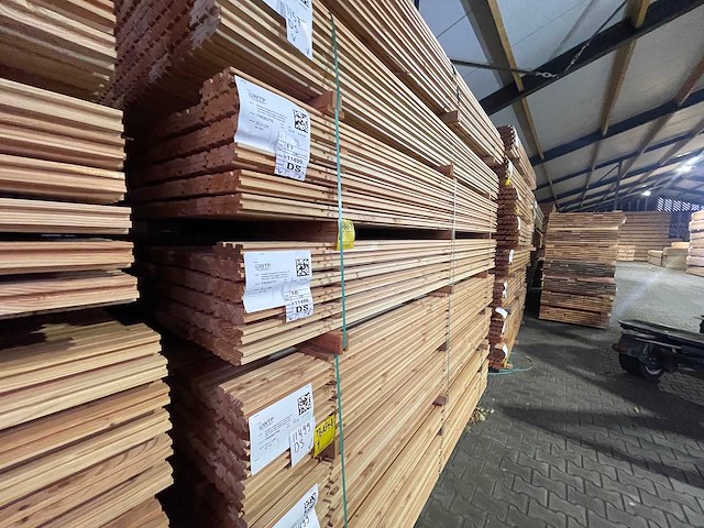 Douglas design- triple- deens profiel 3000x142x22mm (168x) - afbeelding 4 van  4