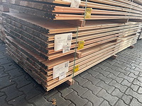 Douglas design- triple- deens profiel 3000x142x22mm (80x) - afbeelding 4 van  4