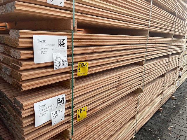 Douglas design- triple- deens profiel 4000x142x22mm (84x) - afbeelding 4 van  4