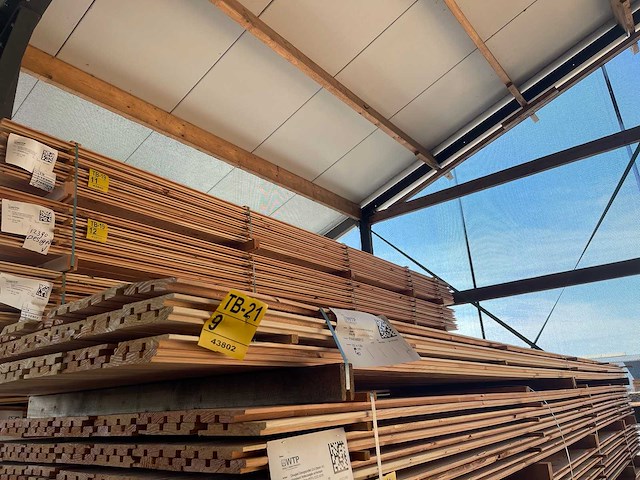 Douglas design- triple- deens profiel 5000x142x18mm (40x) - afbeelding 4 van  4