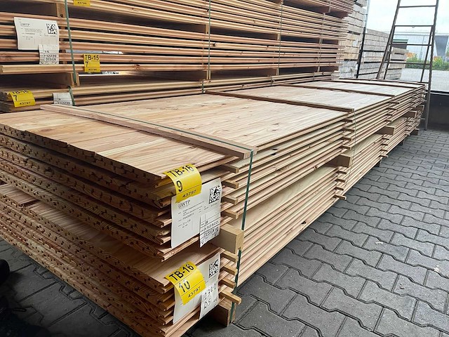 Douglas design- triple- deens profiel 5000x142x22mm (80x) - afbeelding 4 van  4