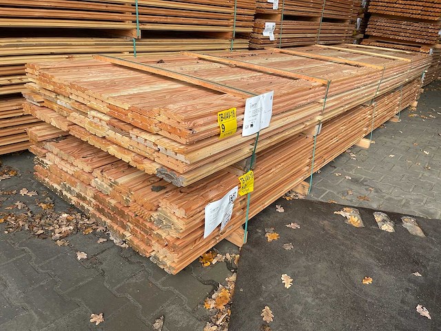 Douglas design- triple- deens profiel, 5000x142x22mm (84x) - afbeelding 4 van  4