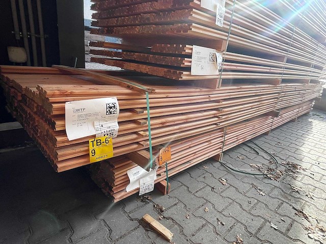 Douglas design- triple- deens profiel 5000x142x22mm (84x) - afbeelding 3 van  3