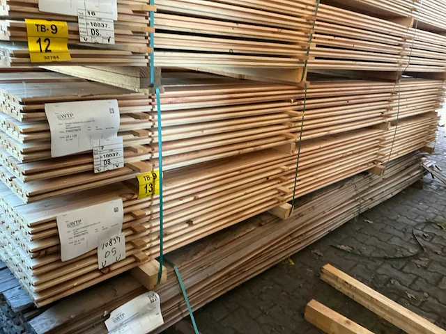 Douglas design- tripple- deens profiel, 4000x142x22mm (168x) - afbeelding 4 van  4