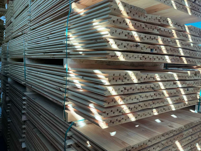 Douglas design- tripple- deens profiel, 4000x142x22mm (168x) - afbeelding 4 van  4