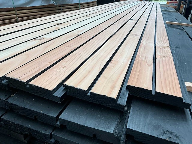 Douglas dubbel rhombus - 250 cm - 25x140 mm (48x) - afbeelding 1 van  4