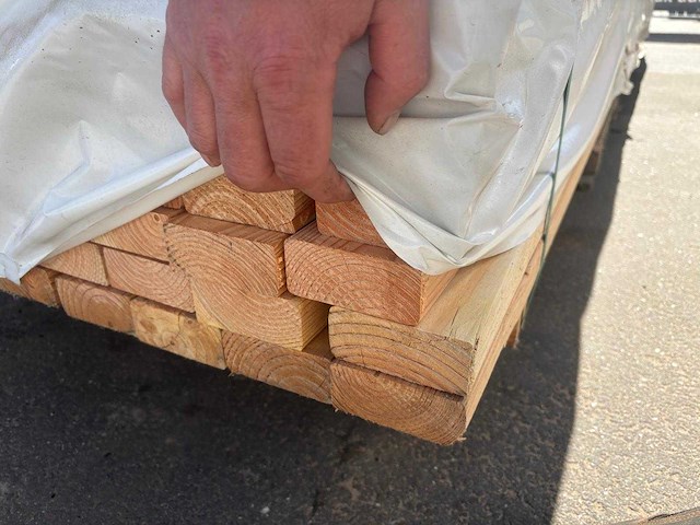 Douglas hout (216x) - afbeelding 3 van  3