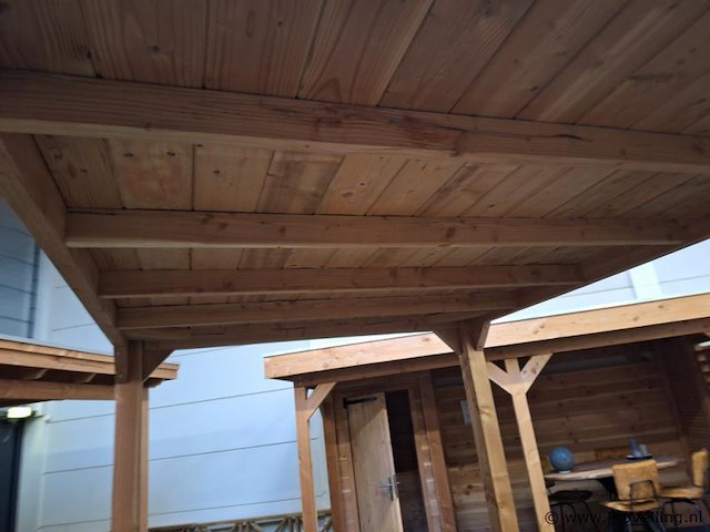 Douglas houten carport - 300x250x300cm - afbeelding 3 van  3