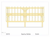 Douglas kap-schuur/poolhouse 4x6 - afbeelding 14 van  18