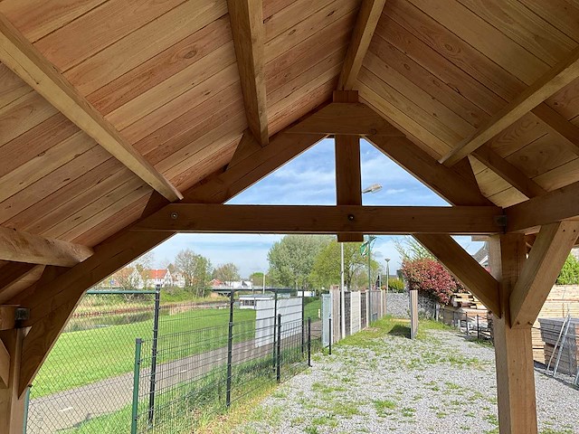 Douglas kapschuur met dakpanplaat 1550x360x325 cm - afbeelding 13 van  13