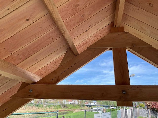 Douglas kapschuur met dakpanplaat 669x460x325 cm - afbeelding 10 van  19